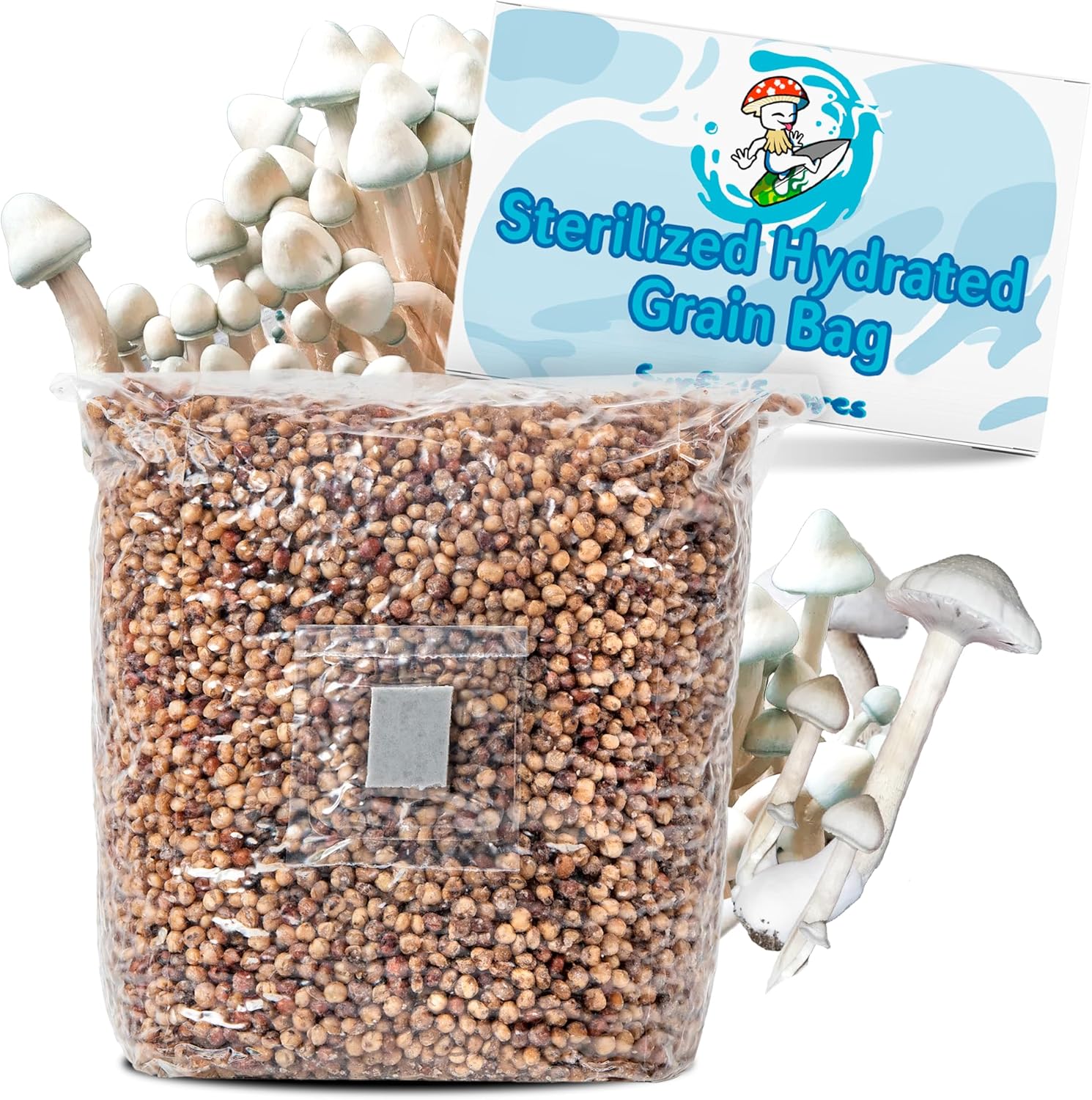 6-Pack Sterilized Popcorn Grain Spawn – 1 Lb Bags With Injection Ports – Out-Grow