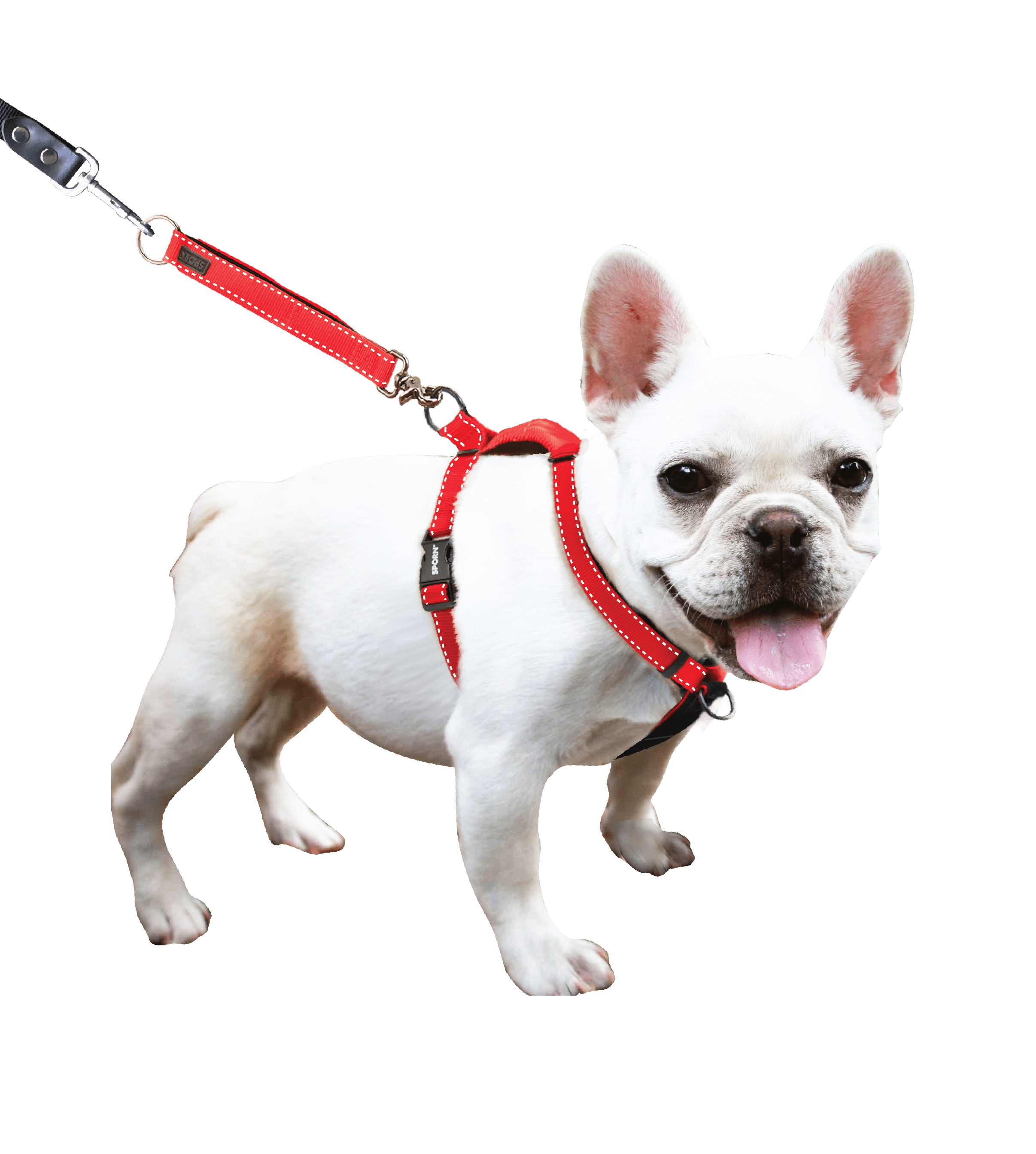 Sporn Adjustable Ultimate Dog Control Harness, Black, M (18" to 30" Chest Size)