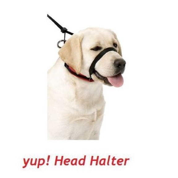 Sporn Dog Head Control Halter Black For Tough Pullerss Large