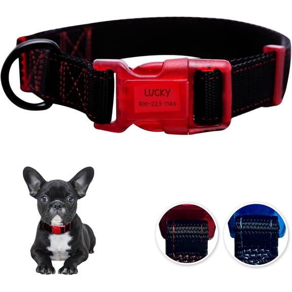 Sporn Dog ID Collar for Small Dogs, Black & Red Dog Collar with 3 Pcs Prefolded Paper