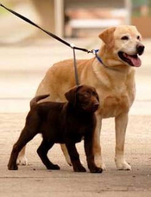 Sporn Double Dog Leash Fully Adjustable for Medium / Large Dogs Black