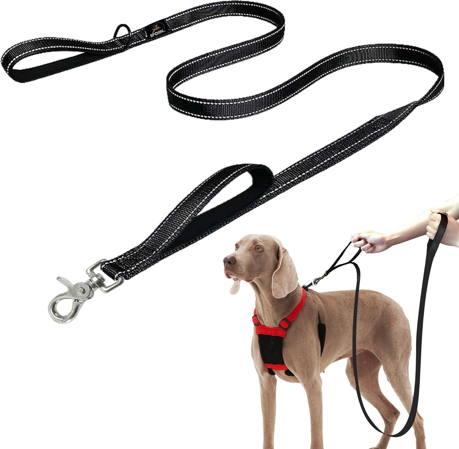Sporn Dual Handle Padded Dog Training Leash, 6ft Long Dog Leash