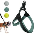 thumbnail image 1 of Sporn Easy Fit Dog Harness, Blue, X-Large (30-41" Girth Size), 1 of 9