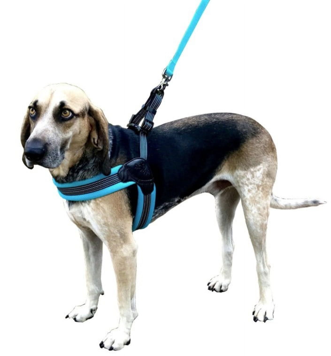 Easy fit dog clearance harness