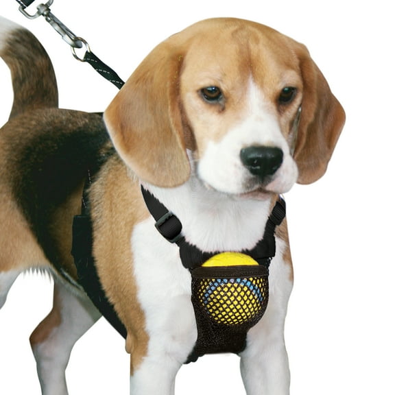 Yuppie Puppy Nylon Mesh Non-Pulling Dog Harness, Black, M (14" to 20" Chest Size)