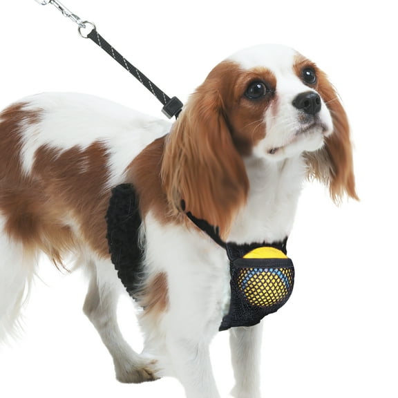 Yuppie Puppy Nylon Mesh Non-Pulling Dog Harness, Black, S (8" to 14" Chest Size)