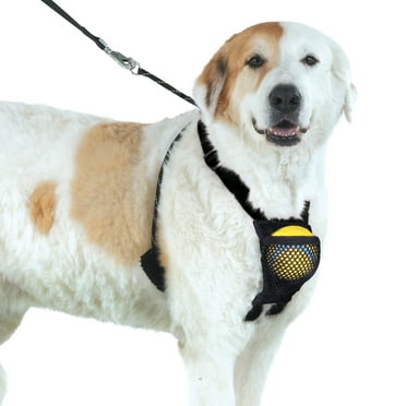 Yuppie Puppy Nylon Mesh Non-Pulling Dog Harness, Red, L/XL (22" to 36" Chest Size)