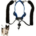 thumbnail image 1 of Sporn Training Dog Halter, Blue, X-Large (23-33" Neck Size), 1 of 6