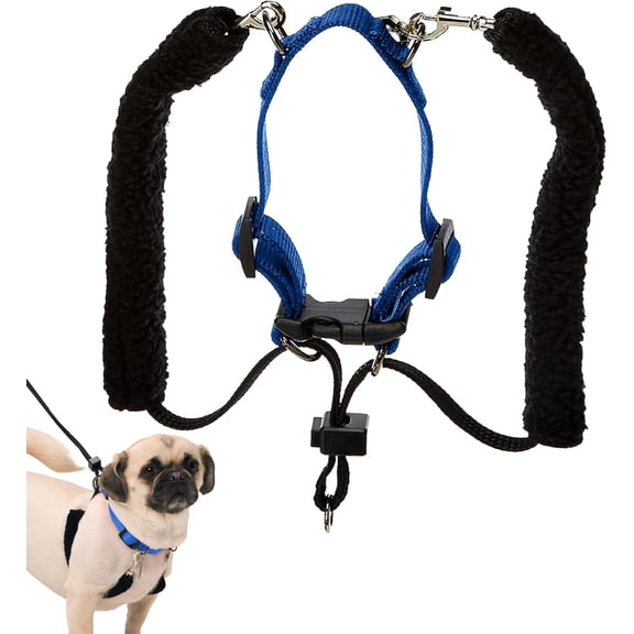 Sporn Training Dog Halter, Blue, Medium (12-17" Neck Size)