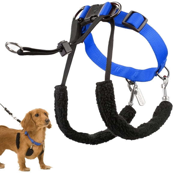 Sporn Training Dog Halter, Blue, Small (9-12" Neck Size)