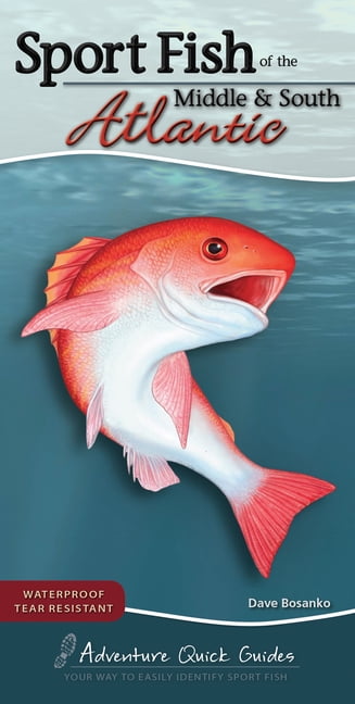 DAVE BOSANKO Sport Fish of the Middle & South Atlantic : Including Delaware, Georgia, Maryland, North Carolina, South Carolina, and Virginia