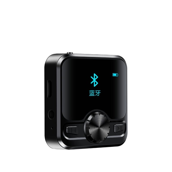 Sport MP3 Player Wireless Bluetooth Speaker IPX6 Waterproof Music Payer with Removable Back Clip Support E-Book Recording FM