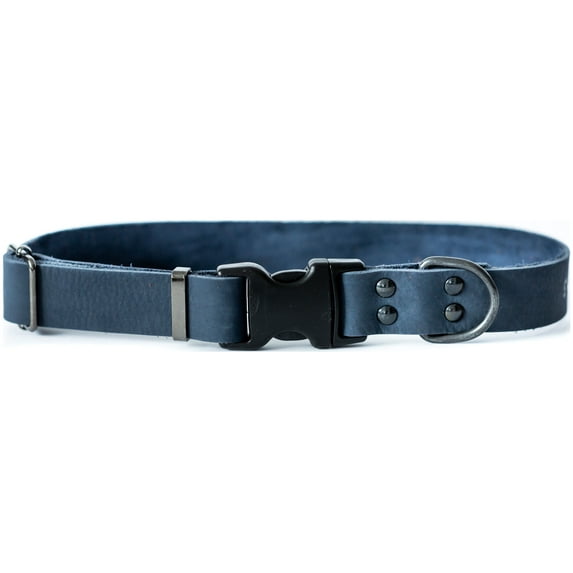 Sport Style Luxury Leather Dog Collar