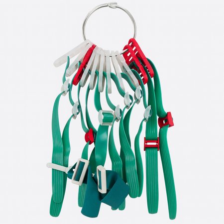 FLAG-A-TAG 174; Storage Rings price history and forecast - Flag-A-Tag 8671010