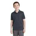 thumbnail image 1 of Sport-Tek Youth PosiCharge RacerMesh Polo-XS (Graphite Grey), 1 of 6