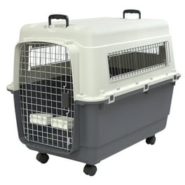 Spree™ Pet Carrier, Your Pet's Perfect Travel Companion