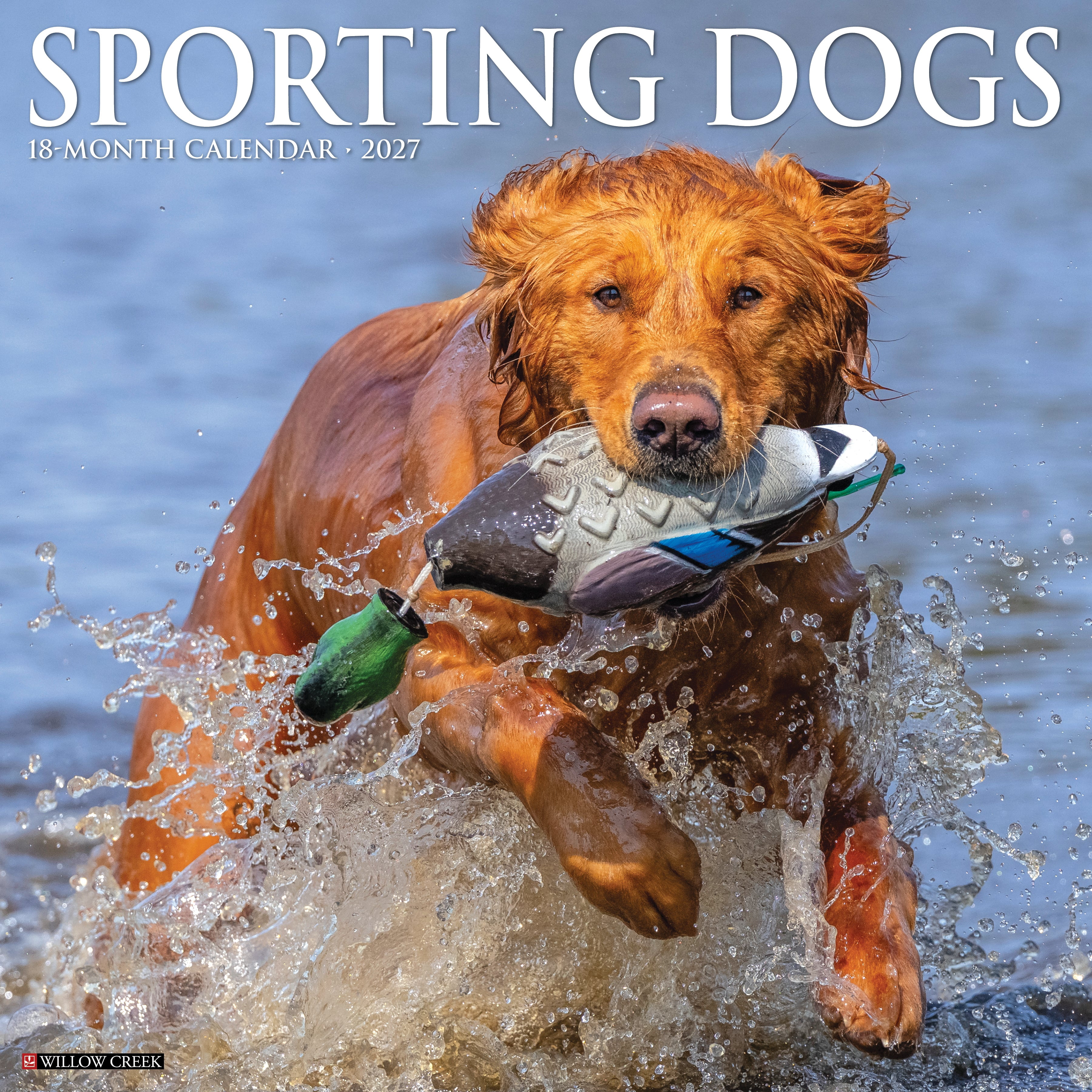 Willow Creek Press, Sporting Dogs 2027 Wall Calendar