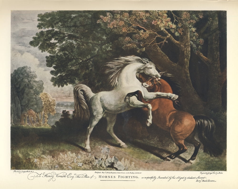 Sporting Prints 1927 Horses Fighting Canvas Art - George Stubbs (18 x 24)