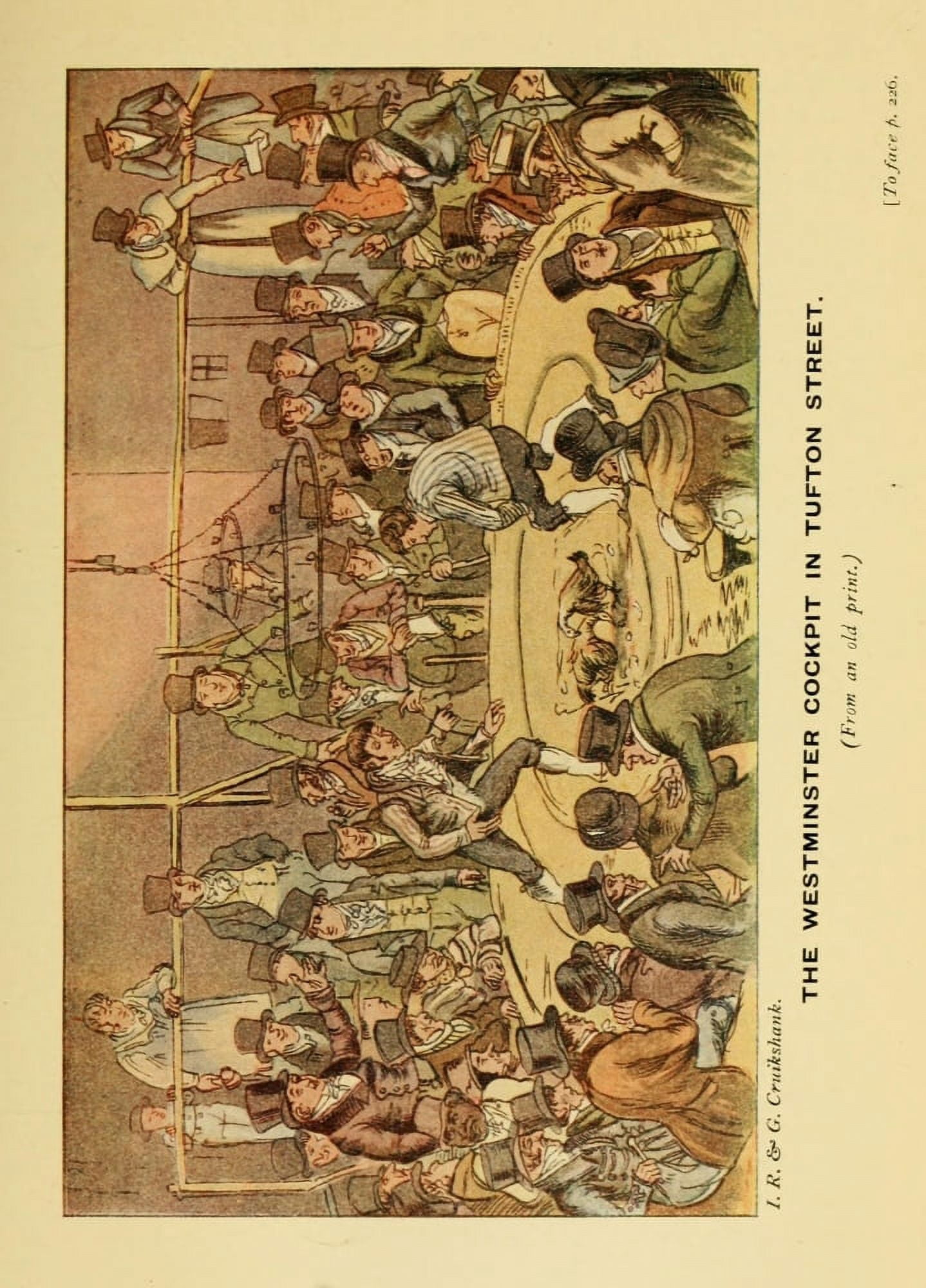 Sporting Stories 1910 The Westminster Cockpit in Tufton Street Canvas Art - G & IR Cruikshank (24 x 36)