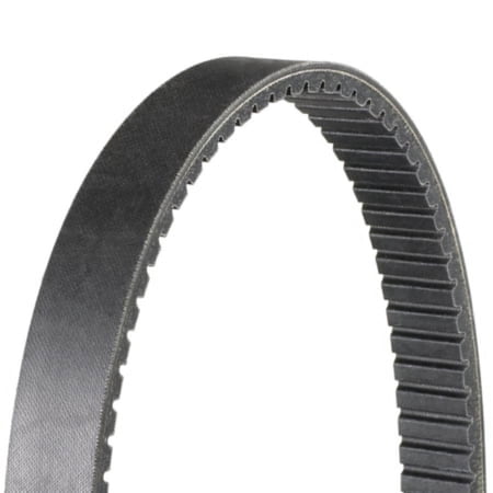 Sportline Recreational Vehicle Belt