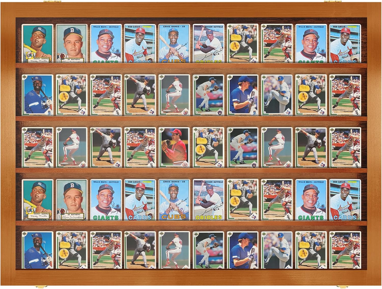 Sports Card Display Case, Holds 50 Ungraded Sports Cards, Baseball Card