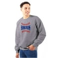thumbnail image 1 of Sports Fan Baseball Stitches Homerun Sweatshirt for Men or Women Brisco Brands L, 1 of 6