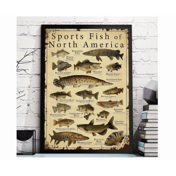 Sports Fish Of North America Educational Wall Poster Home Decor Office Wall Art Living Room Decor, Paper Poster Only