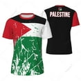 thumbnail image 1 of Sports Mesh T-shirt Palestine Flag For Running Bike Soccer Tennis Football Fitness Tees 3D Printed Custom, 1 of 1