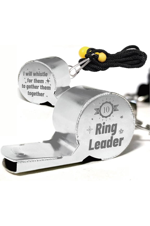 Sports Whistles with Lanyard Loud Crisp Sound Stainless Steel Whistle for Coaches Referees Training Teacher Ring Leader I Will Whistle for Them to Gather Them Together 2 x 5cm(Silvery) DIY