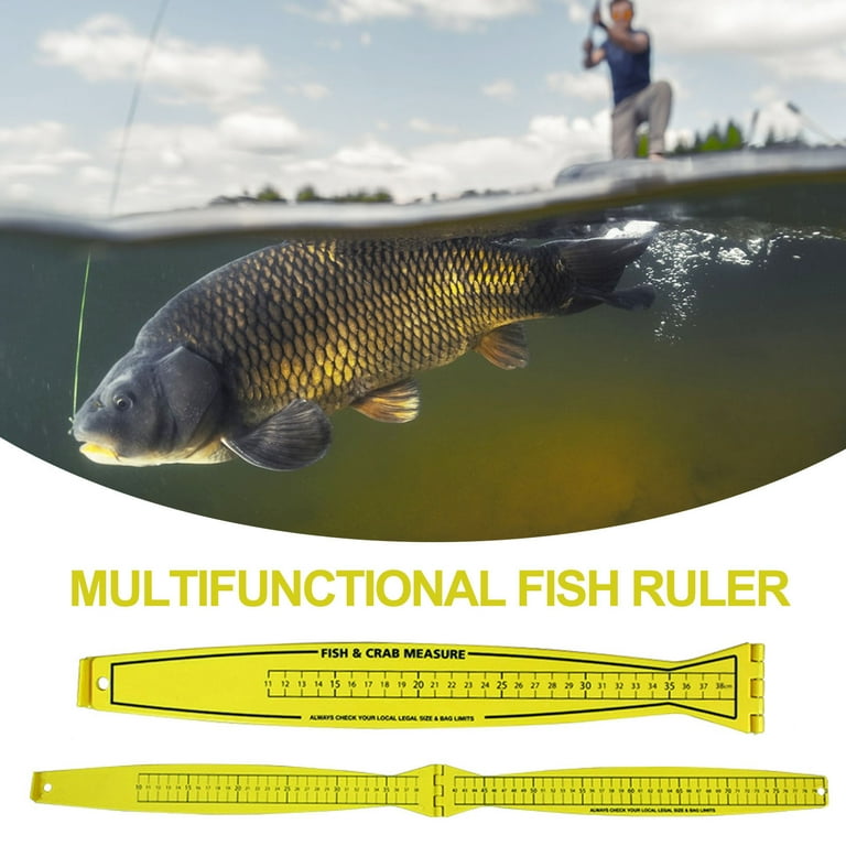 Aluminum Fish Ruler Fish Ruler