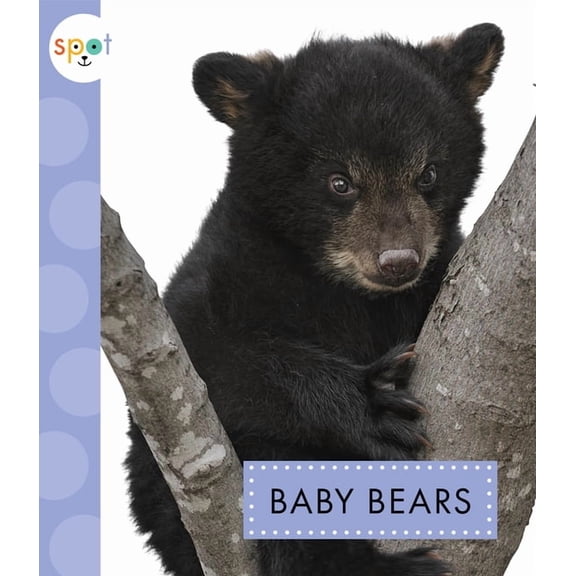 Spot: Baby Bears (Paperback)