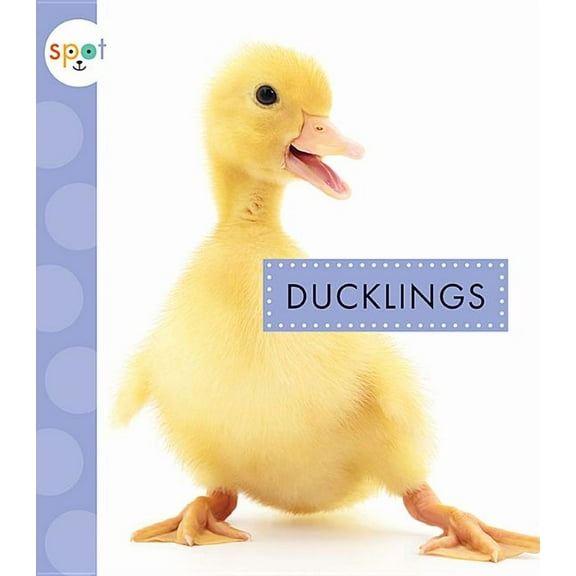 Spot Baby Farm Animals: Ducklings (Paperback)