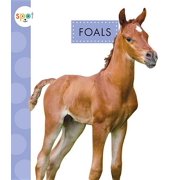 Spot Baby Farm Animals Foals Paperback