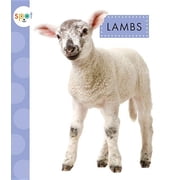 Spot Baby Farm Animals Lambs Paperback