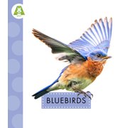 Spot Backyard Birds Bluebirds, Hardcover