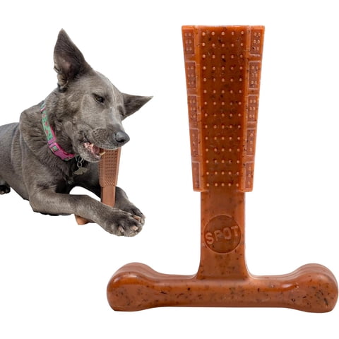 SPOT Bam-Bones Plus T-Bone Dog Chew Toy for Moderate to Aggressive Chewers, 6-Inch, Beef Flavor