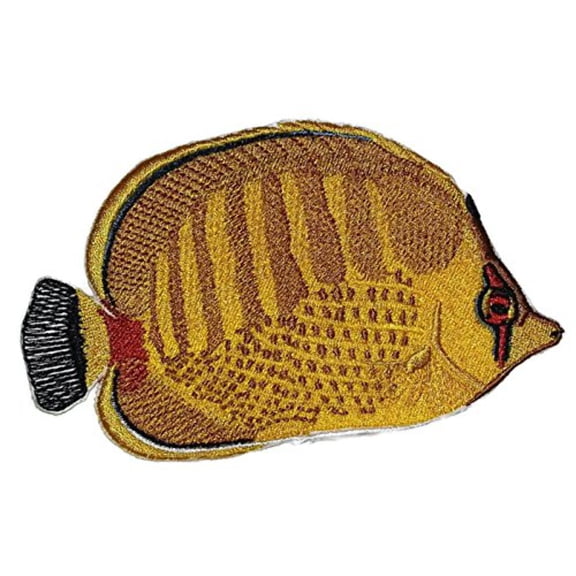 Nature's Bounty Beautiful Custom Fish Portraits [ Spot Banded Butterflyfish ] Embroidered Iron On/Sew Patch (5" x 3") Made in USA]