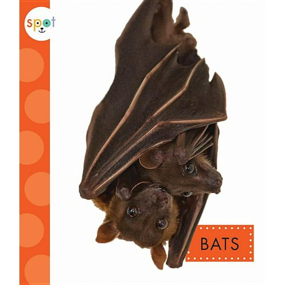 Spot: Bats (Paperback)