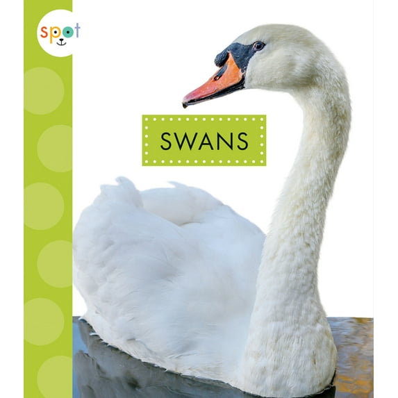 Spot Big Birds Swans, (Paperback)