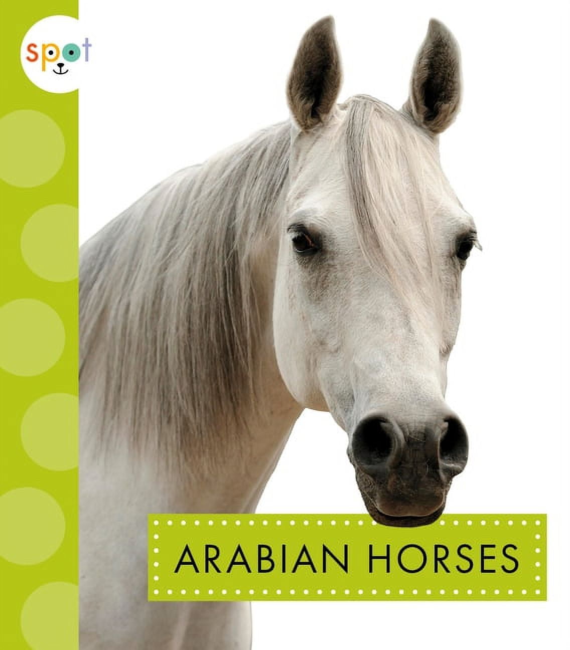 Spot Horses: Arabian Horses (Hardcover)