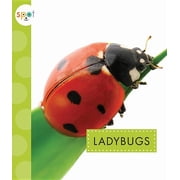 Spot: Ladybugs (Paperback)