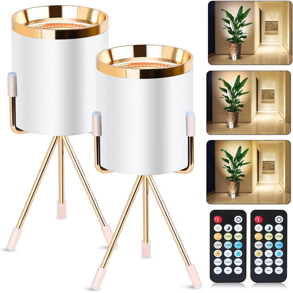 Spot Lights Indoor Floor Lamp, 6W Uplighting Indoor with Remote, Dimmable & Timer & 3 Color Temperatures, 2700K to 6500K Floor Can Lights for Plants Pictures Corner Ambient Lighting, 2 Pack