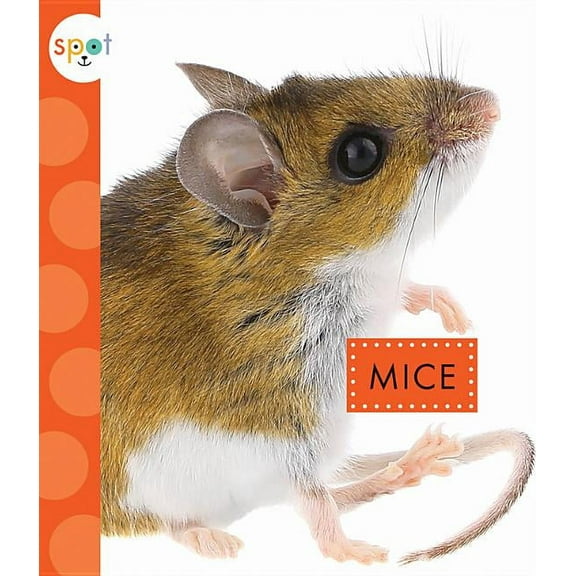 Spot: Mice (Paperback)