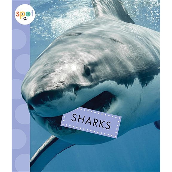 Spot Ocean Animals: Sharks (Paperback)