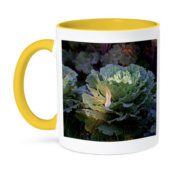 3drose, Spot of Sunlight on Green Leaves of a Decorative Cabbage, 11oz Two-tone Yellow Mug