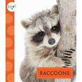 thumbnail image 1 of Spot: Raccoons (Paperback), 1 of 1