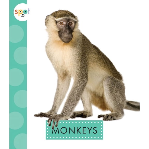Spot Rainforest Animals: Monkeys (Hardcover)