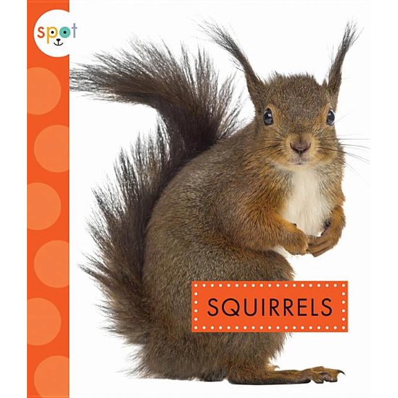 Spot: Squirrels (Paperback)