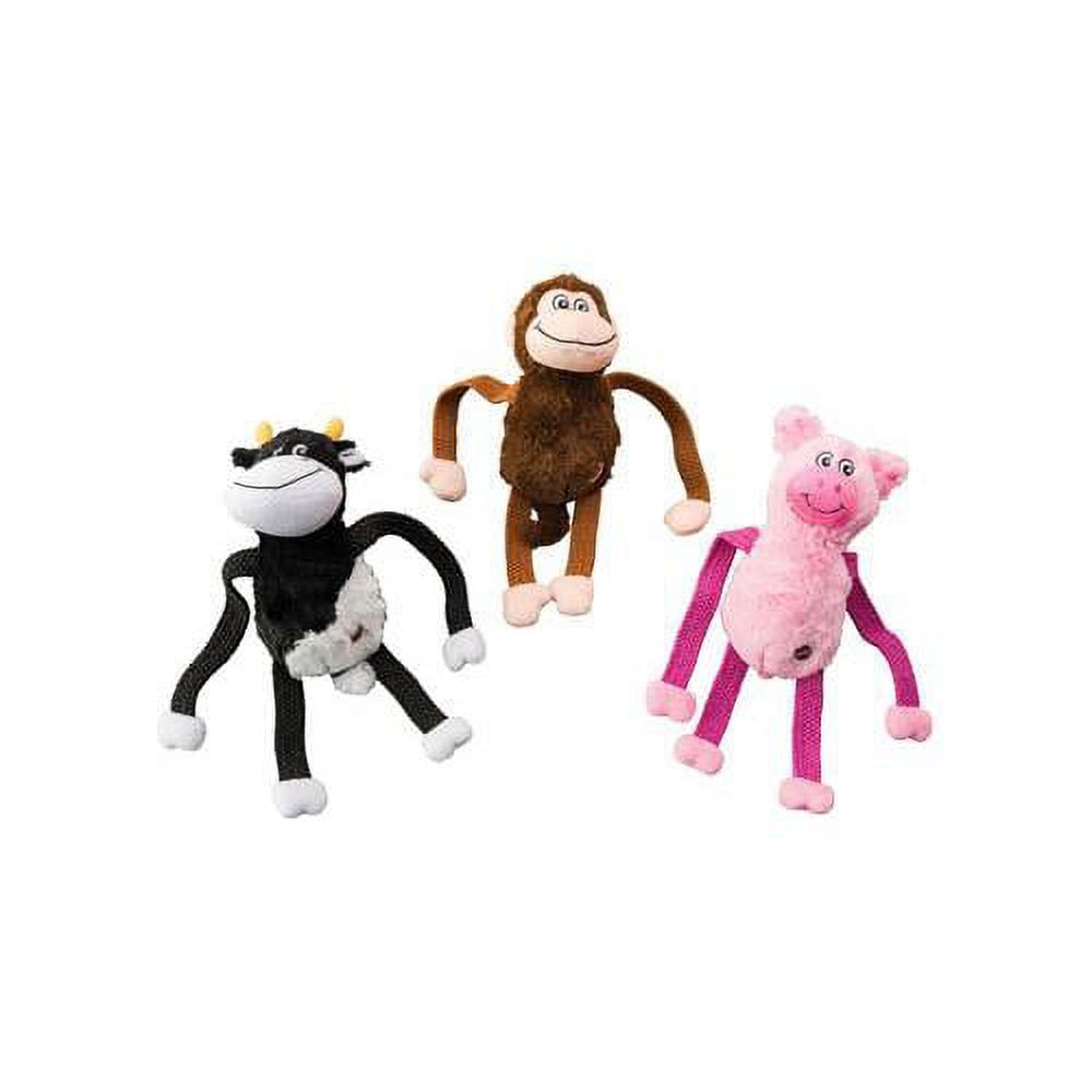 animal the monkey dog