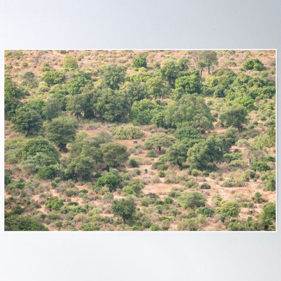 Spot The Elephant! Poster Wall Art, Modern Wall Decor For Living Room Bedroom, 8x12 UNFRAMED